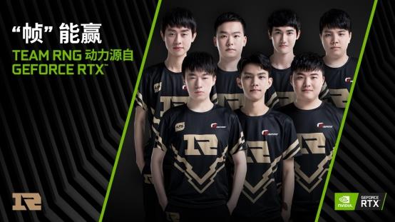 受到椰子树 受到椰子树