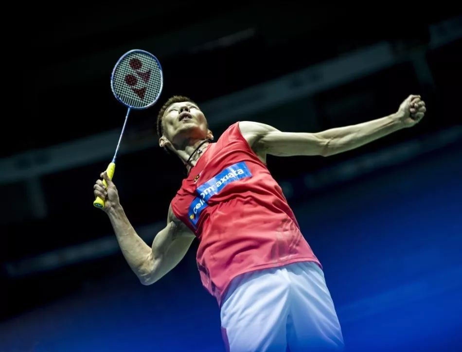 补强了外线 补强了外线